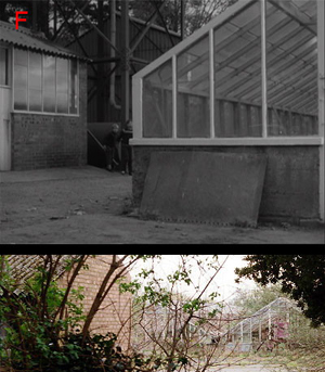 Greenhouses, Littleton Park Grounds, Shepperton Studios